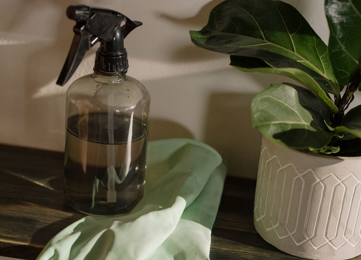 Cleaning | Domestic Cleaning | Domestic